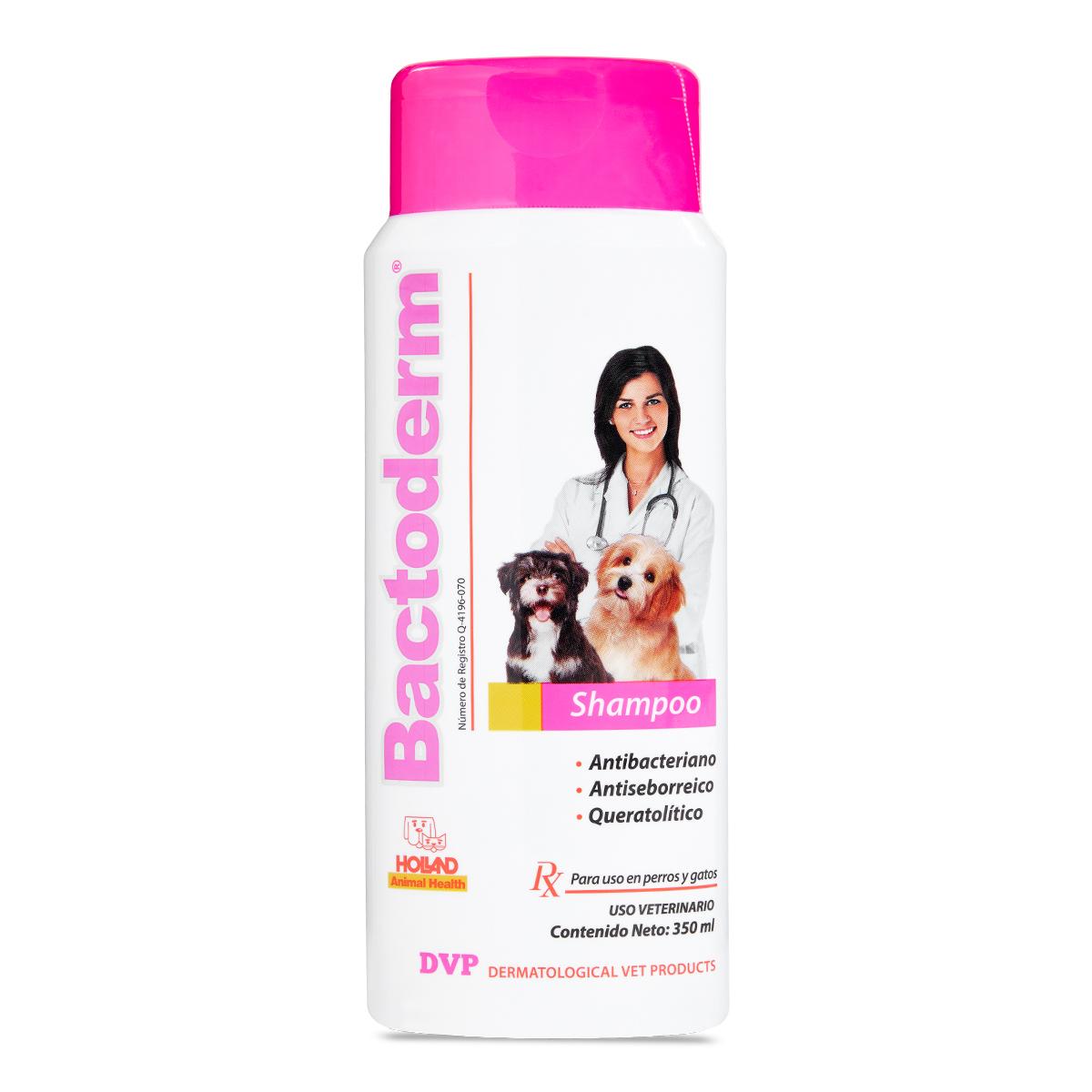 Bactoderm Shampoo 350ml.